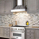 ZLINE 48" Designer Series Stainless Wall Range Hood with 700 CFM Motor (655-4SSSS-48) Range Hoods ZLINE 