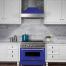 ZLINE 48 in. Ducted DuraSnow Stainless Steel Range Hood with Blue Matte Shell (8654BM-48) Range Hoods ZLINE 