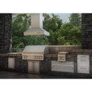 ZLINE 48 in. Ducted Island Mount Range Hood in Outdoor Approved Stainless Steel (697i-304-48) Range Hoods ZLINE 