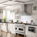 ZLINE 48 In. Professional 6.0 Cu. Ft. 7 Dual Fuel Range In DuraSnow® Stainless Steel With Brass Burners (RAS-SN-BR-48) Ranges ZLINE 