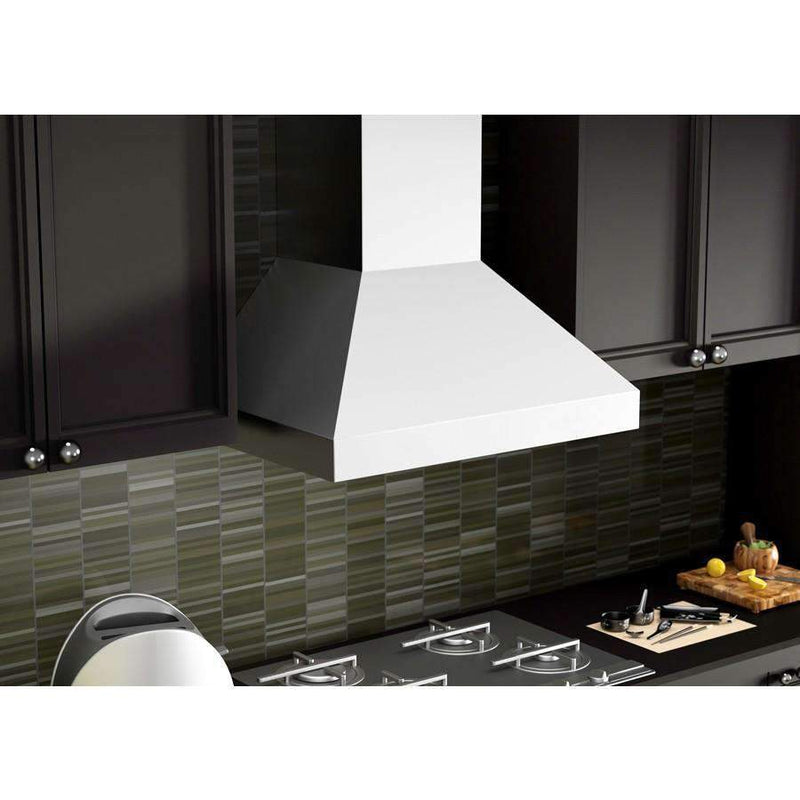 ZLINE 48" Outdoor/Indoor Stainless Wall Range Hood with 500 CFM Motor (597-304-48) Range Hoods ZLINE 