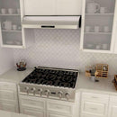 ZLINE 48" Under Cabinet Stainless Steel Range Hood with 600 CFM Motor (621-48) Range Hoods ZLINE 