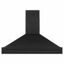 ZLINE 48-Inch Wall Mount Range Hood in Black Stainless Steel (BS655-48-BS)