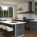 ZLINE Castor Kitchen Faucet in Brushed Nickel (CAS-KF-BN) Kitchen Faucet ZLINE 